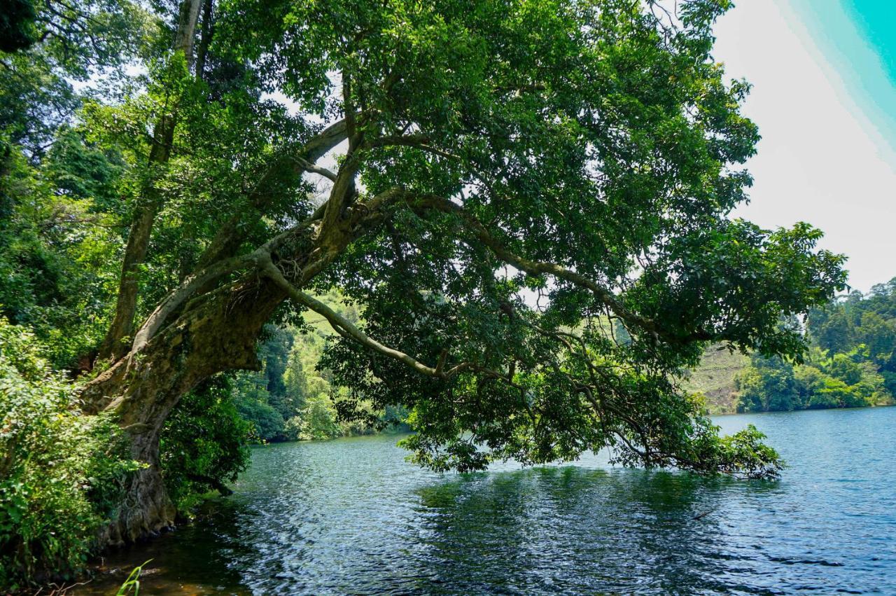 Lake Nyamirima Cottages Fort Portal Luaran gambar